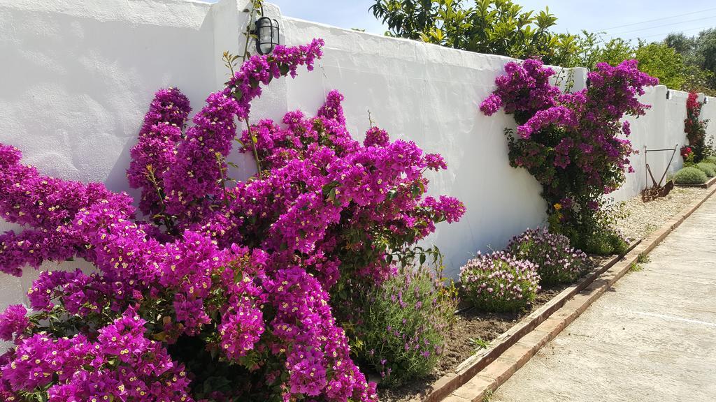 La Posada Del Duende Arcos de la Frontera Kültér fotó